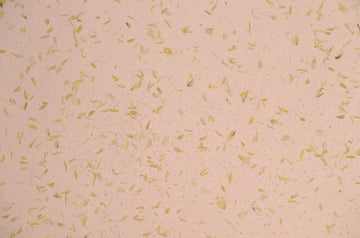 Natuurpaneel Rice Pink 110x120cm - Solza.nl